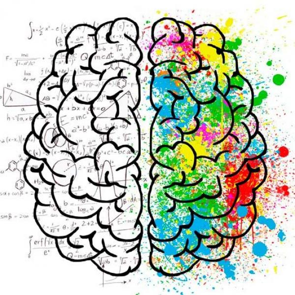 requisitos para estudiar psicologia
