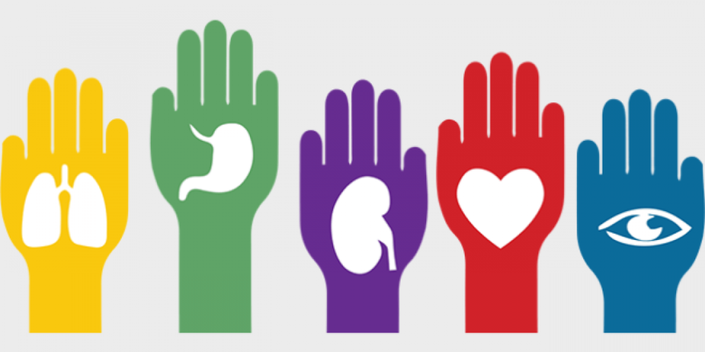 donar órganos en México